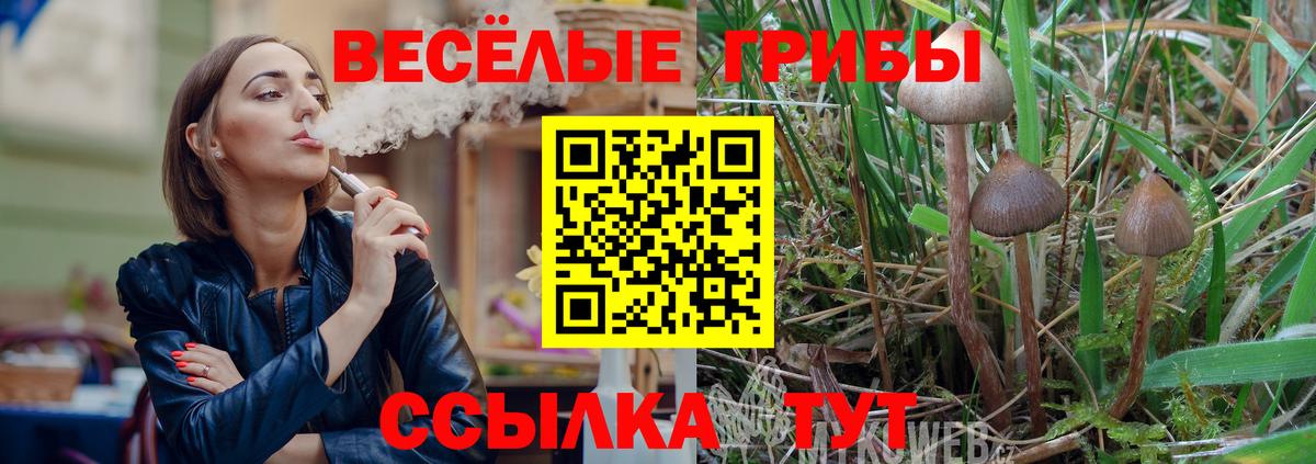Галлюциногенные грибы Cubensis  Вход с VPN  Галлюциногенные грибы Psilocybe  Борзя 