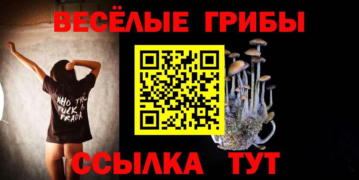 Галлюциногенные грибы мицелий Борзя