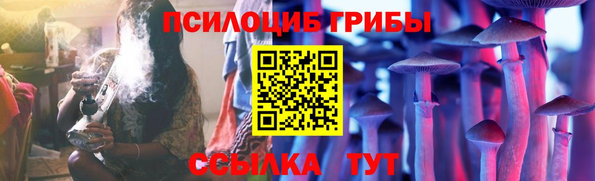 Псилоцибиновые грибы мухоморы Борзя